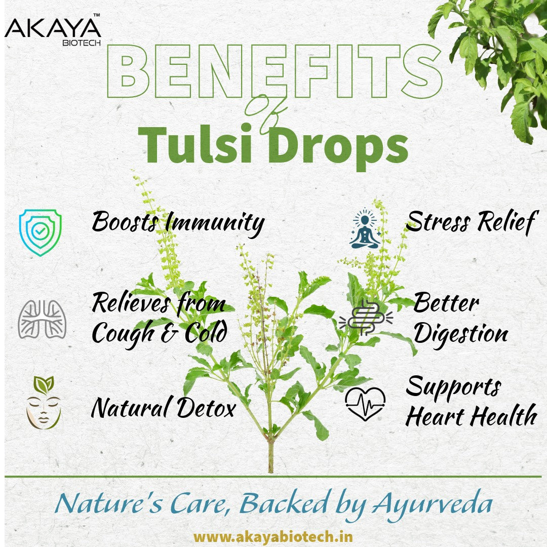 Akaya Biotech Tulsi Drops 30ml | 5 Tulsi Extracts – Tulsi, Rama Tulsi, Van Tulsi, Nimbu Tulsi & Arjak Tulsi | Natural Immunity Booster, Stress Relief & Detox Support | Ayurvedic Herbal Drops